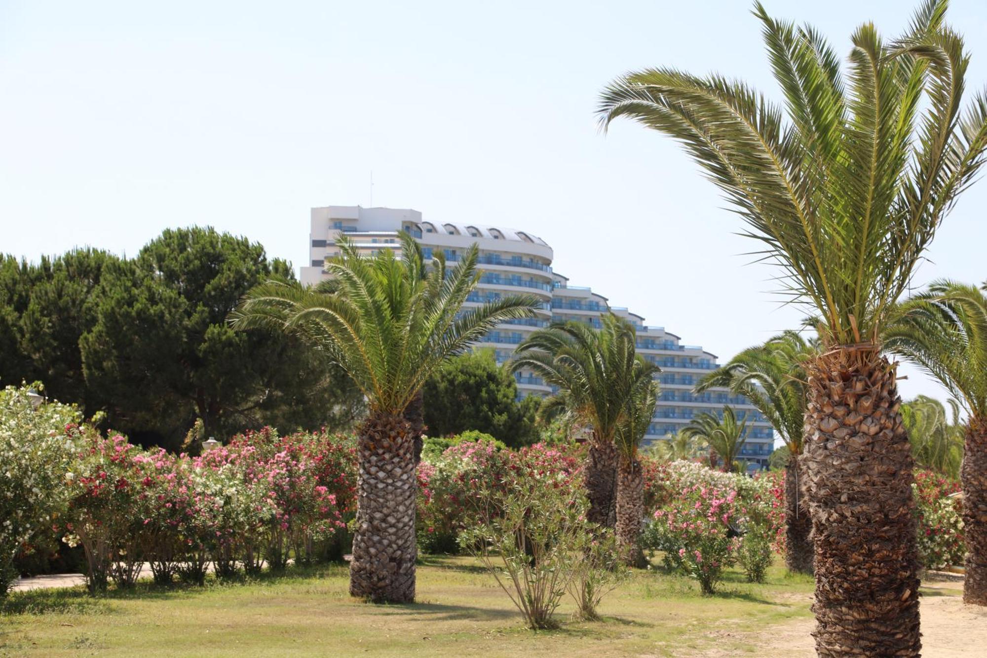 Venosa Beach Resort & Spa Didim Ngoại thất bức ảnh